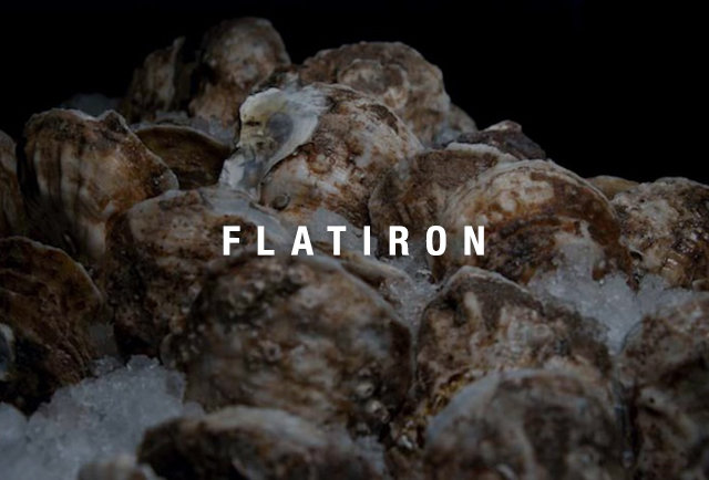 flatiron happy hour oysters