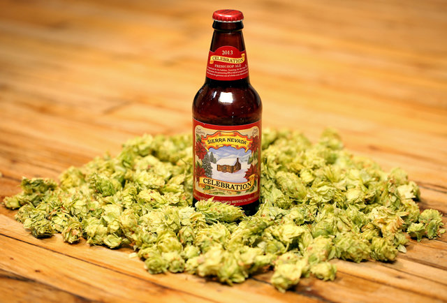 Sierra Nevada Celebration