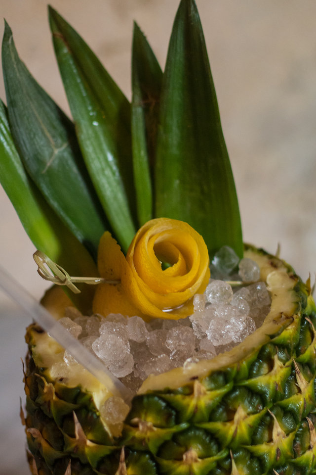 cane and table new orleans nola louisiana